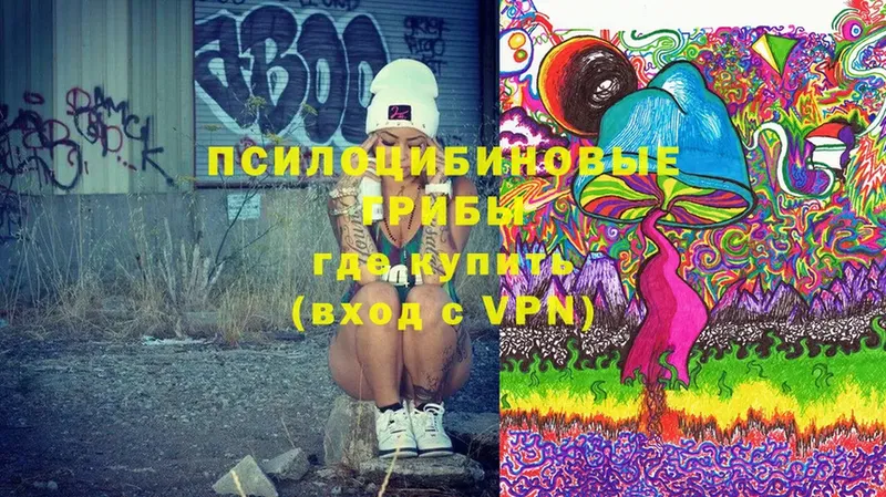 Псилоцибиновые грибы Magic Shrooms  Тверь 